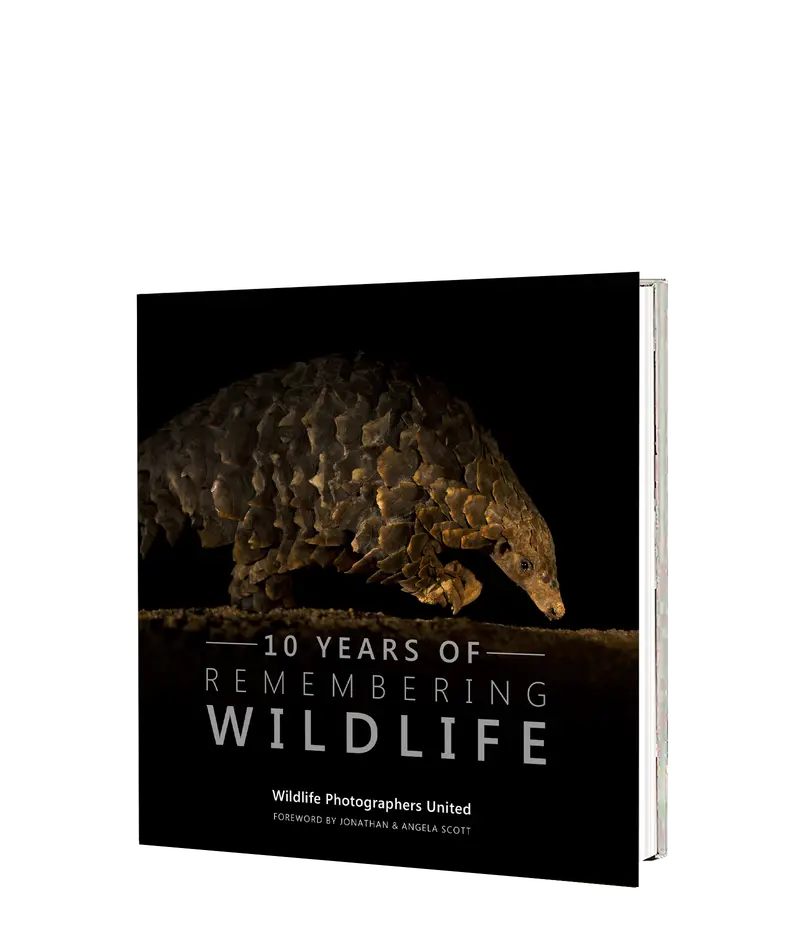 10 Years Of Remembering Wildlife 1