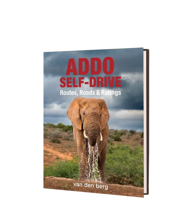 Addo Self-Drive – Routes, Roads And Ratings 1