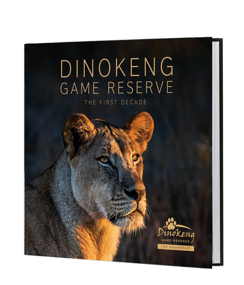 Dinokeng Game Reserve – The First Decade 1