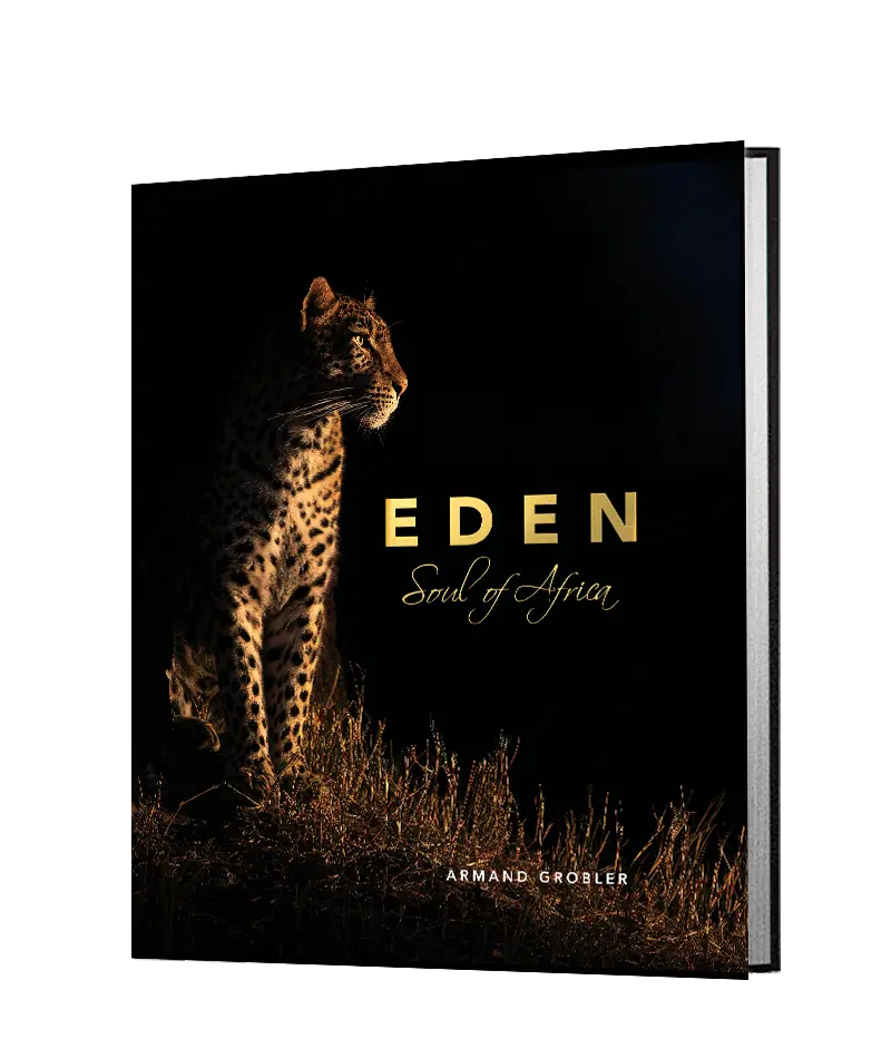 Eden - Soul Of Africa 1
