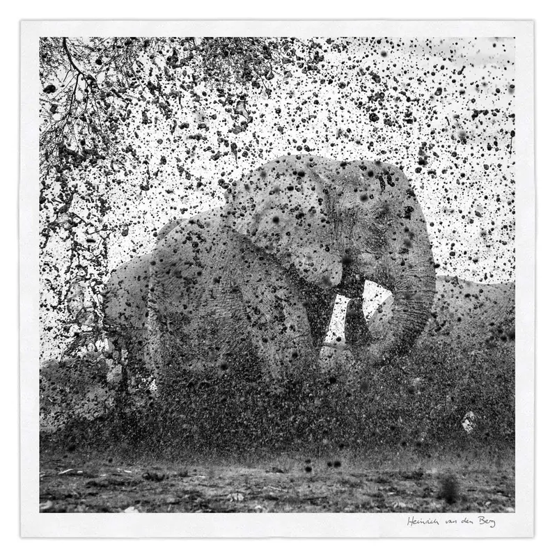 Elephant Ghost 10 1