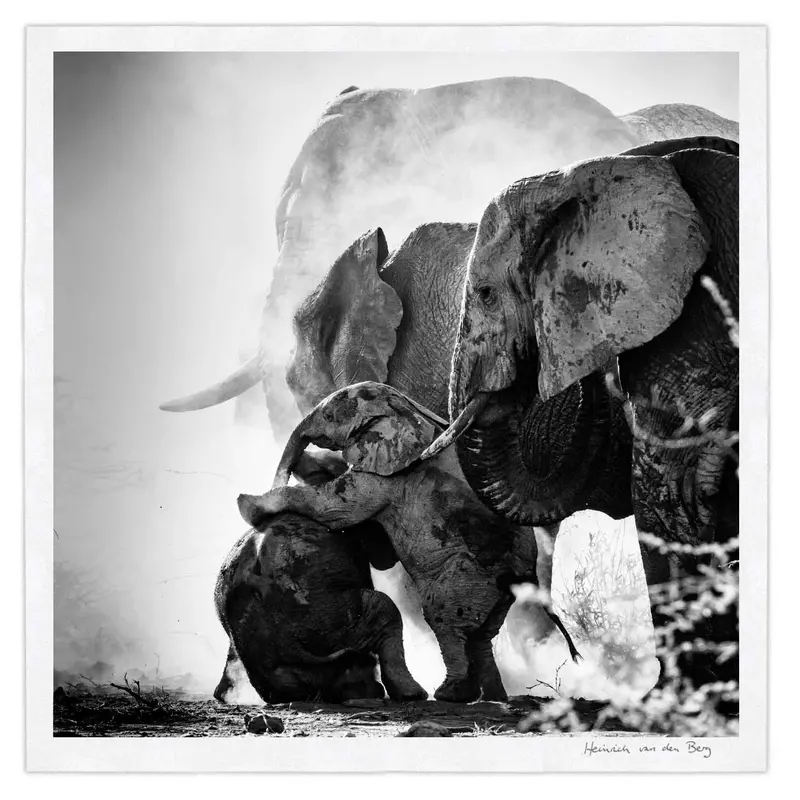 Elephant Ghost 2 1