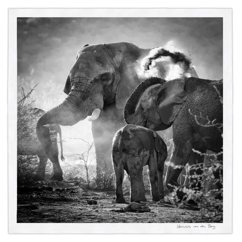Elephant Ghost 4 1