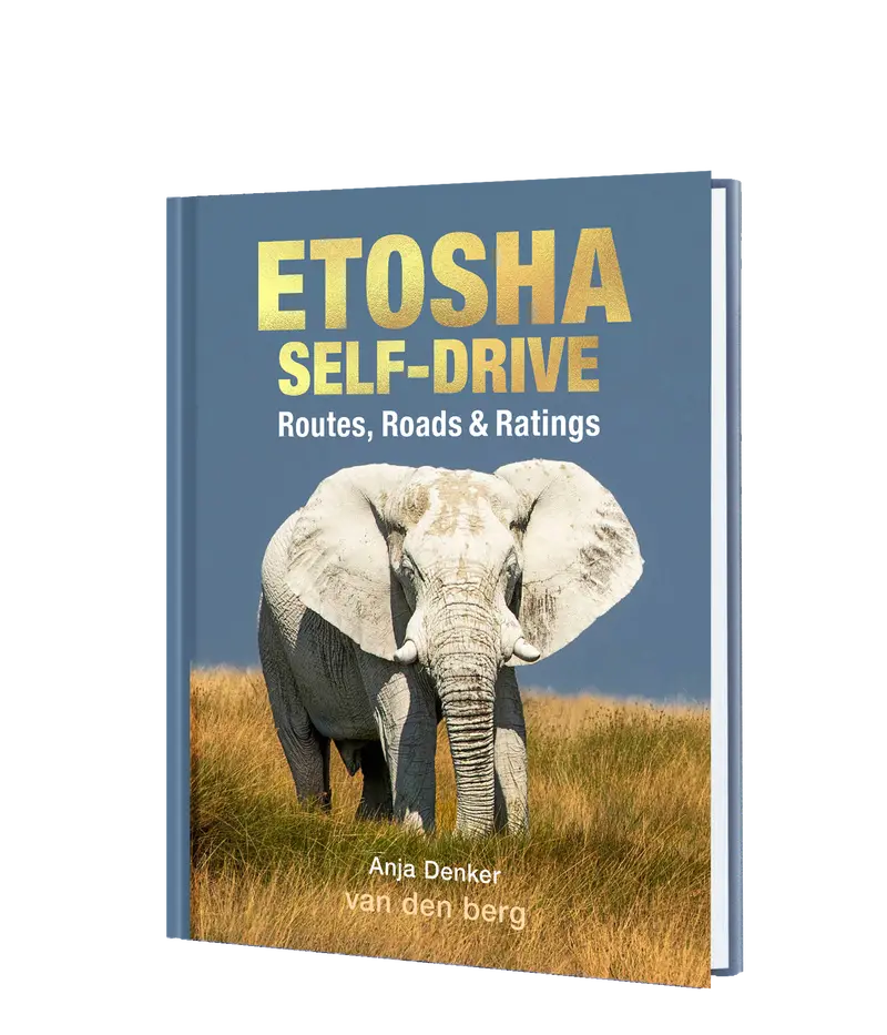 Etosha Self-Drive – Routes, Roads And Ratings 1