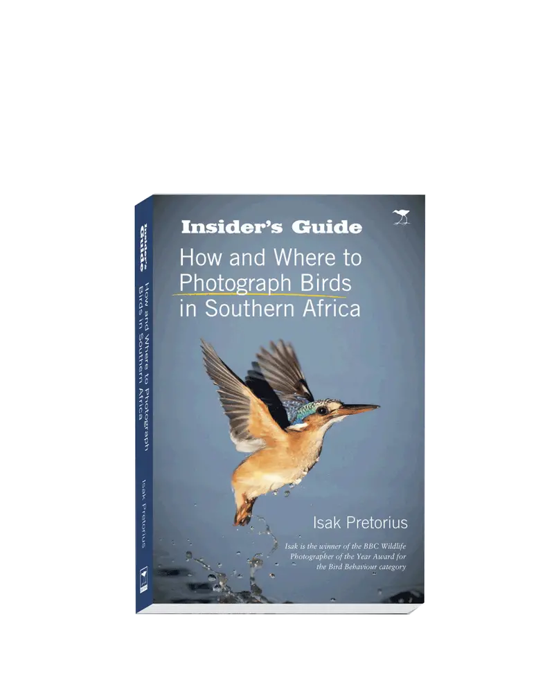 How And Where To Photograph Birds In Southern Africa 1