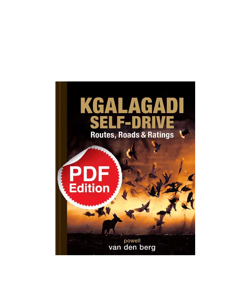 Kgalagadi Self-Drive Pdf Download 1