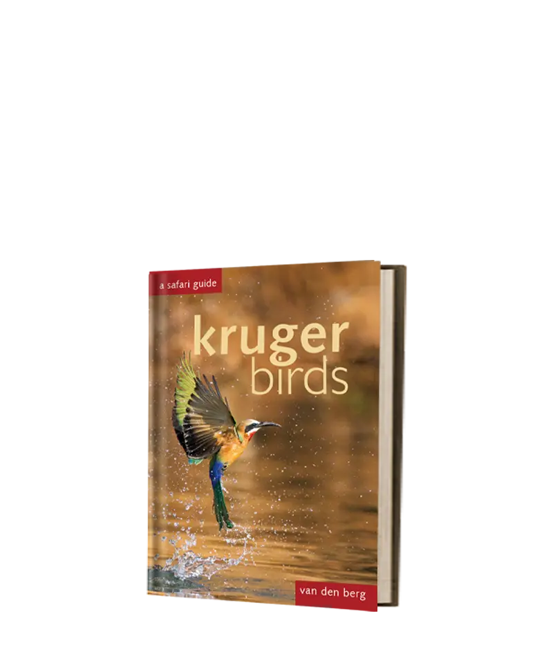 Kruger Birds - First Edition 1