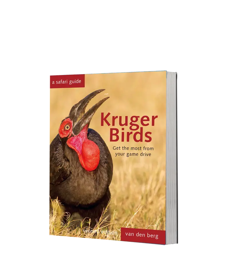 Kruger Birds - Revised Edition 1