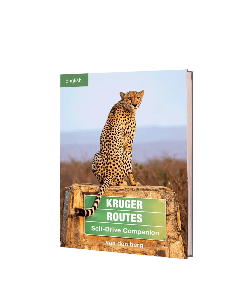 Kruger Routes – English 1
