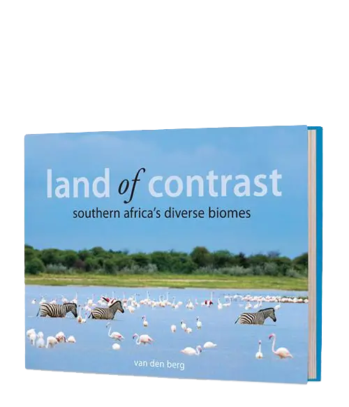 Land Of Contrast 1