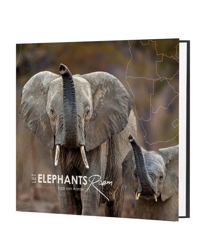 Let Elephants Roam 1