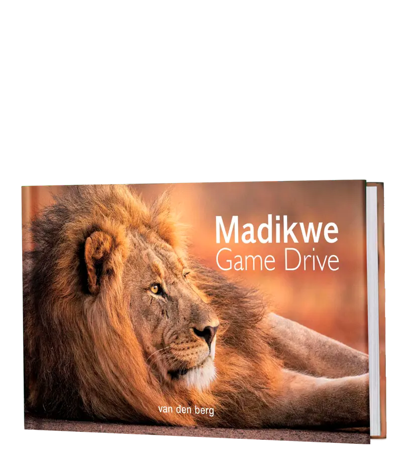 Madikwe Game Drive 1