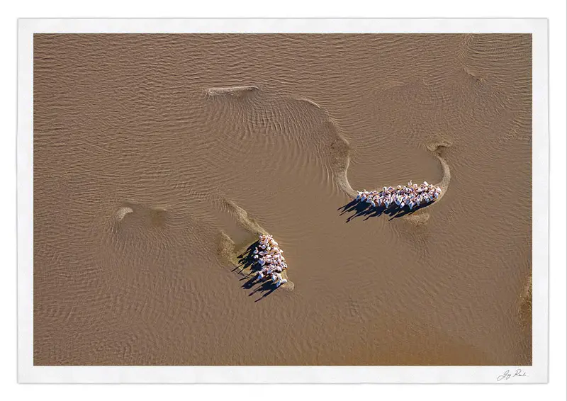 Makgadikgadi Moments 1