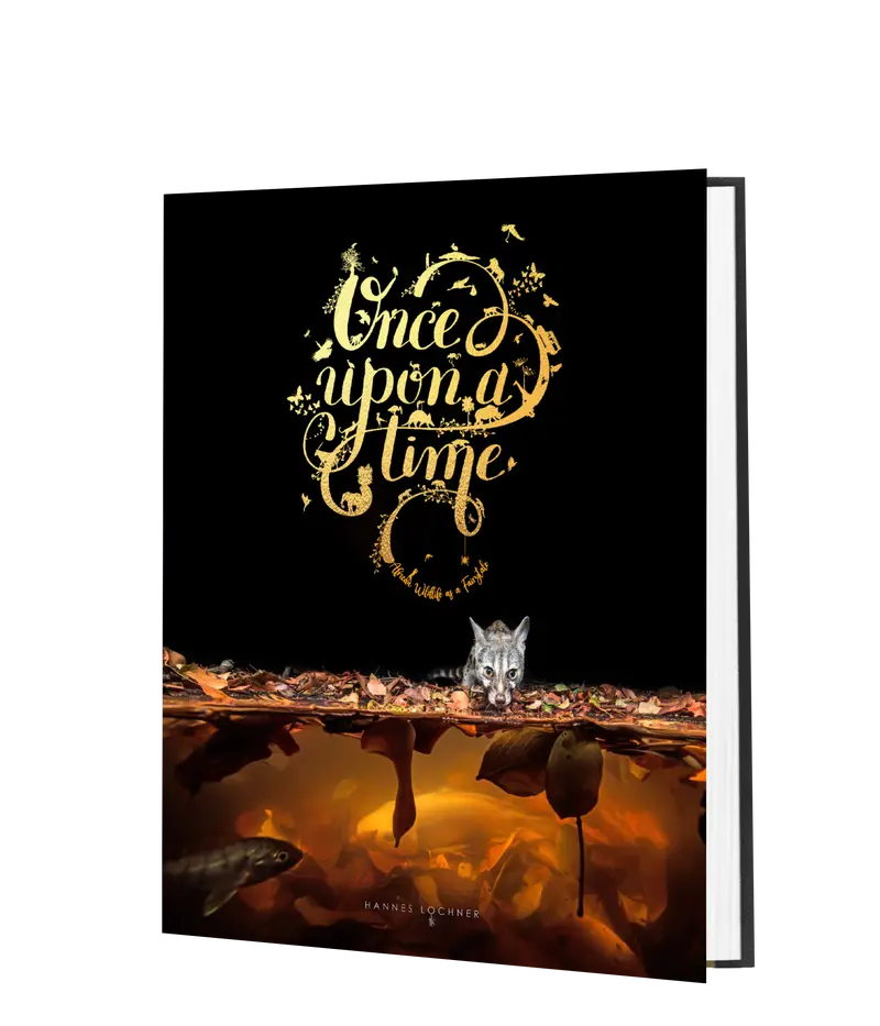 Once Upon A Time – Standard Edition 1