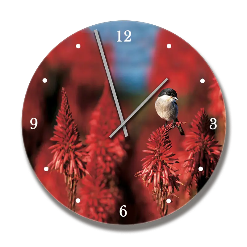 Printwild Clock With Shrike 1