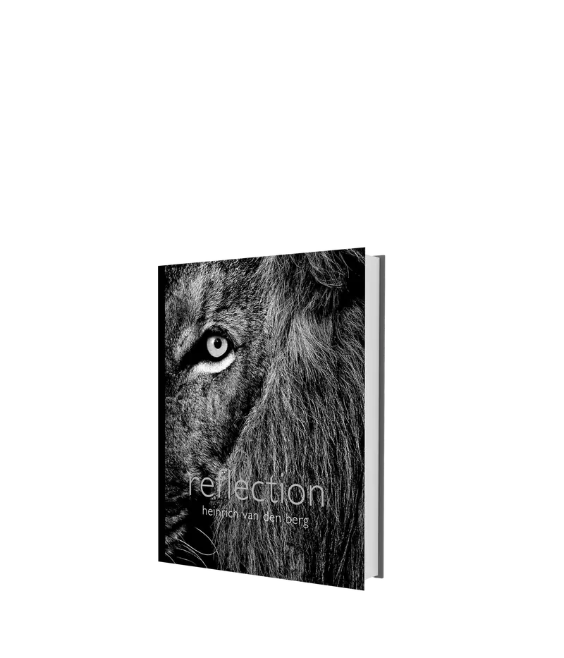 Reflection – Pocket Edition 1