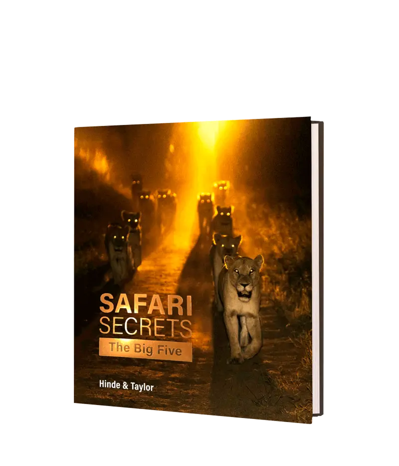 Safari Secrets – The Big Five 1